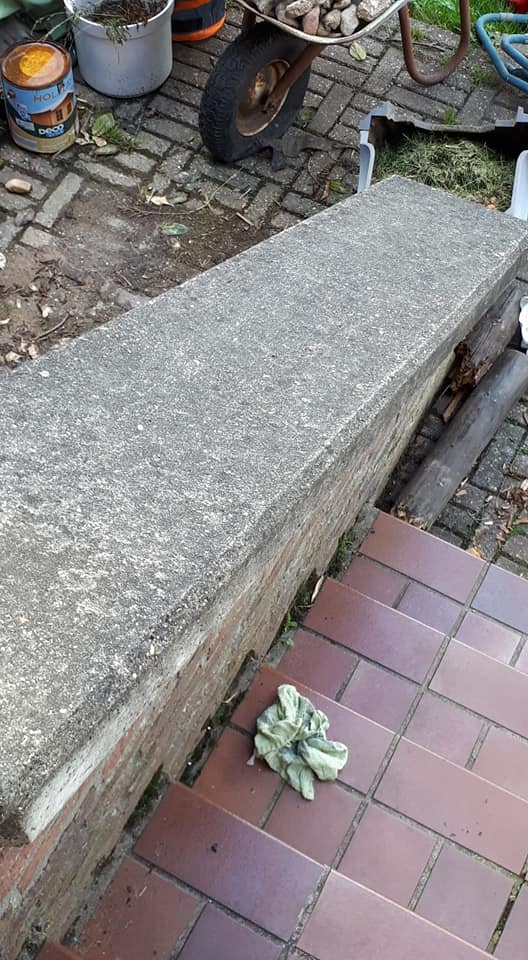 Beton streichen Anleitung & Tipps MissPompadour